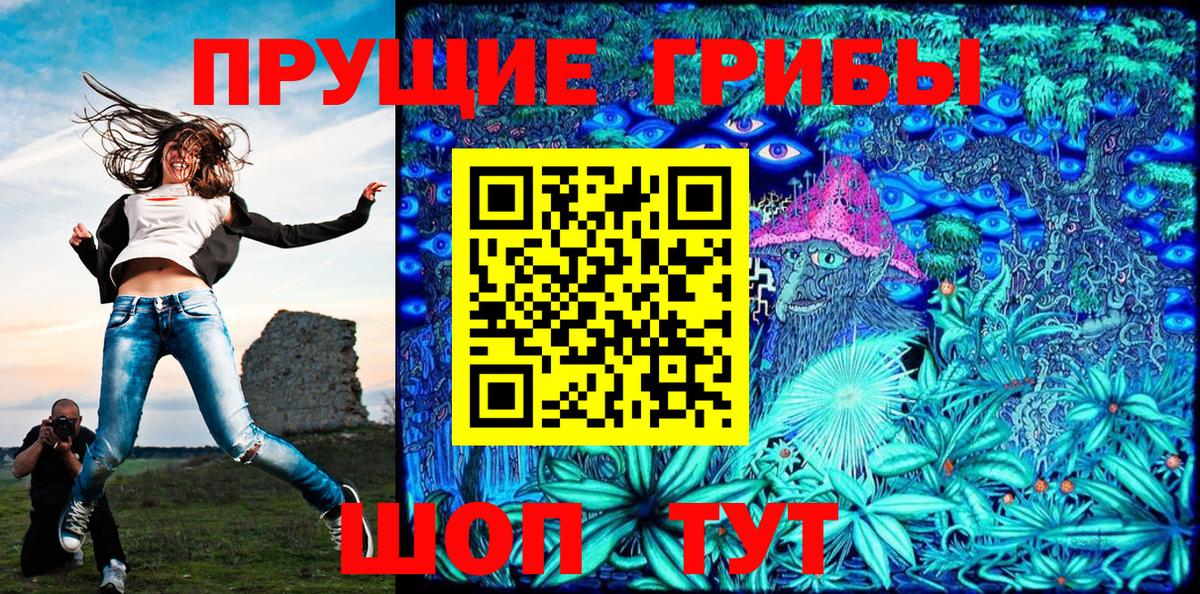 Галлюциногенные грибы Psilocybe  Вход с VPN  Новоалтайск  Галлюциногенные грибы Cubensis 