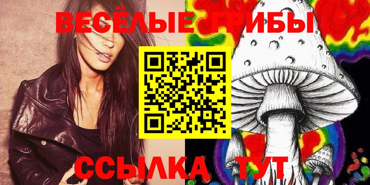 Галлюциногенные грибы Cubensis Новоалтайск